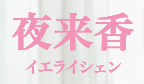 https://t-tuki.xyz/
