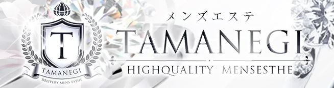 TAMANEGI(タマネギ）