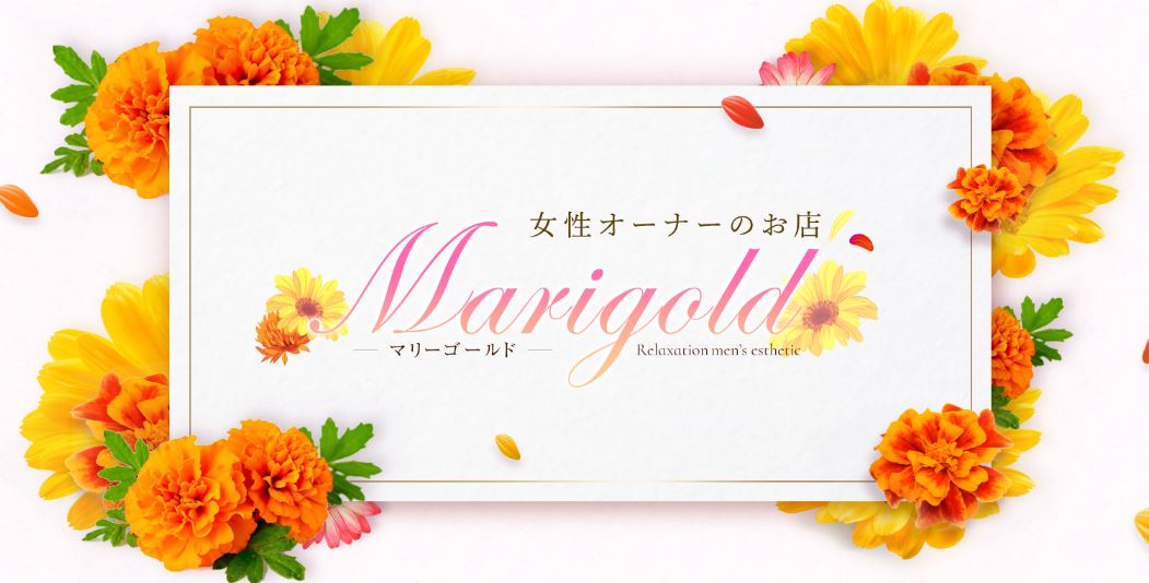 marigold(マリーゴールド）