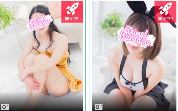 アニマルパラダイス