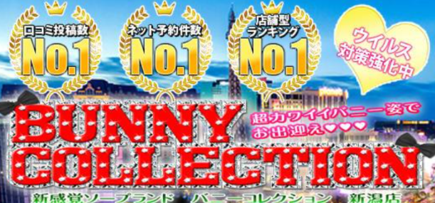 バニーコレクション