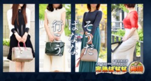 https://purelovers.com/shop/14038/system/