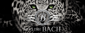 https://www.stylish-bach.com/top/