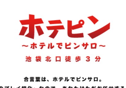 ホテピン