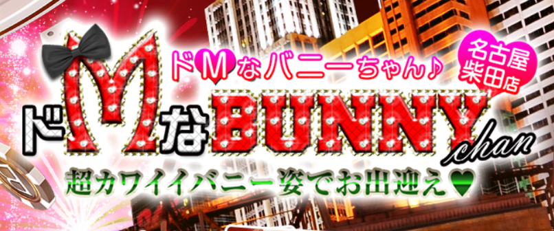 https://dmbunny-shibata.com/