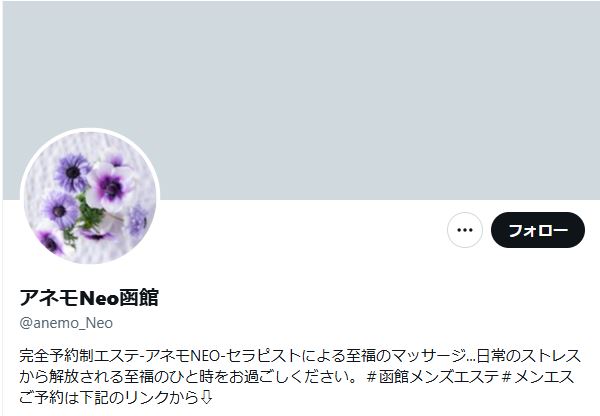 アネモNeo函館