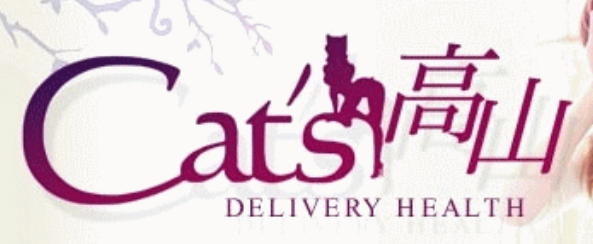 https://www.cats-takayama.net/
