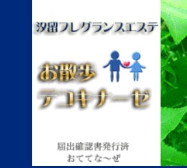 ”お散歩テコキナーゼ”