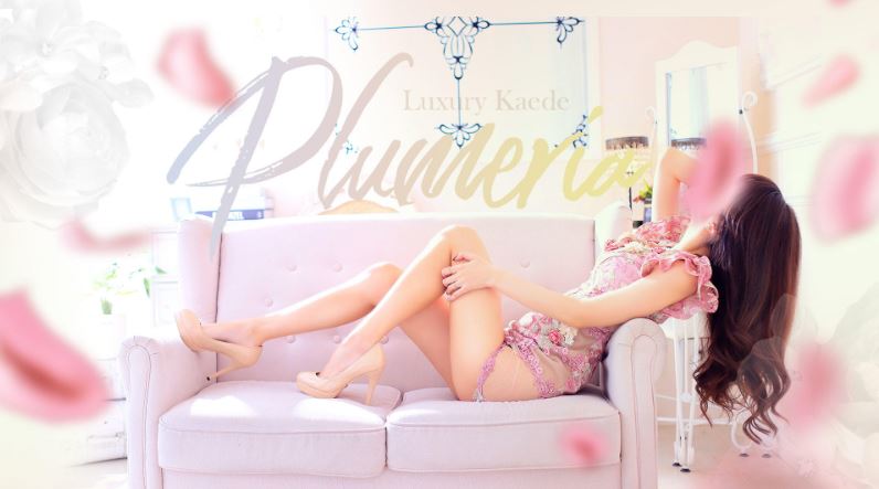 PLUMERIA (プルメリア)