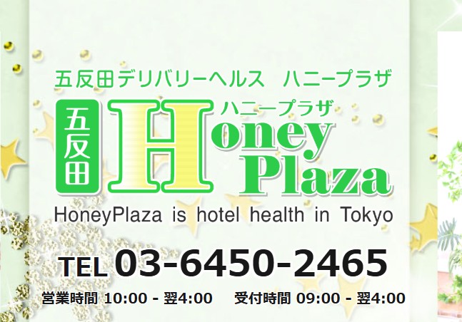 https://www.honeyplaza.biz/