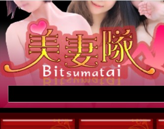 美妻隊