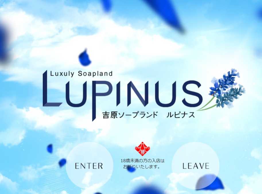 LUPINUS(ルピナス) 