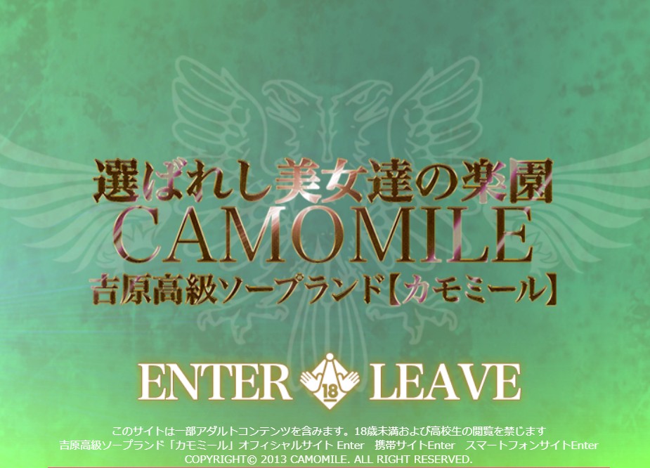 CAMOMILE(カモミール)