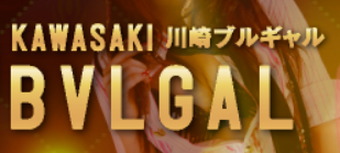 https://www.bvlgal.net/system.html