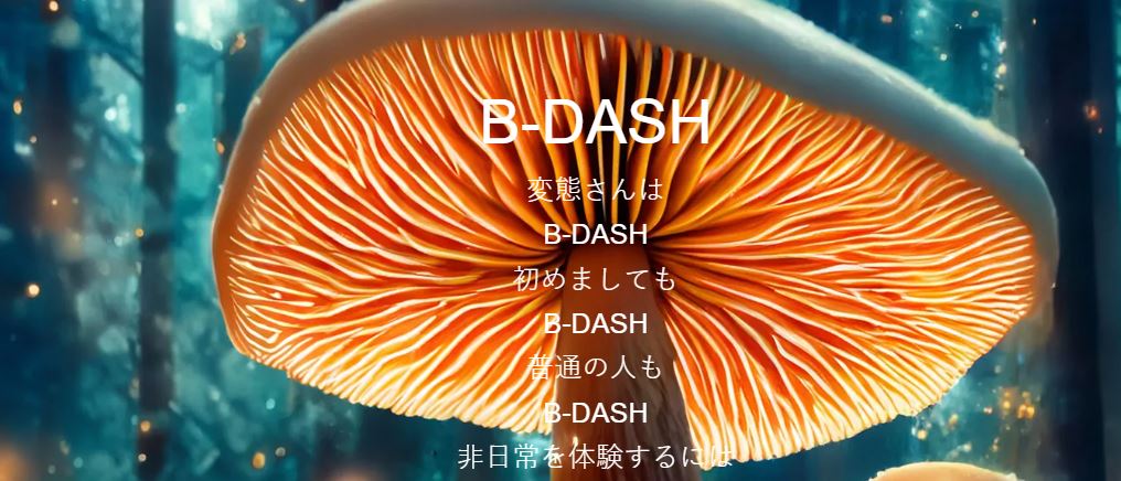 B-DASH(ビーダッシュ)