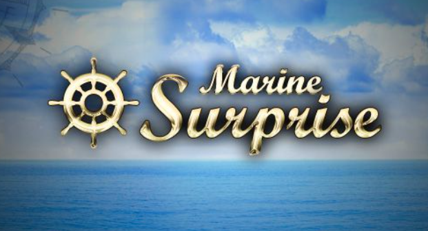 https://m-surprise.com/