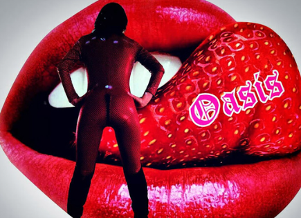 https://www.oasis8480.com/