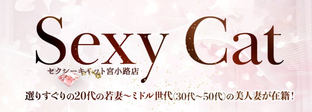 https://sexy-cat-m.jp/