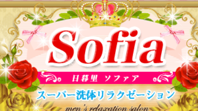 https://www.sofia-est.com/