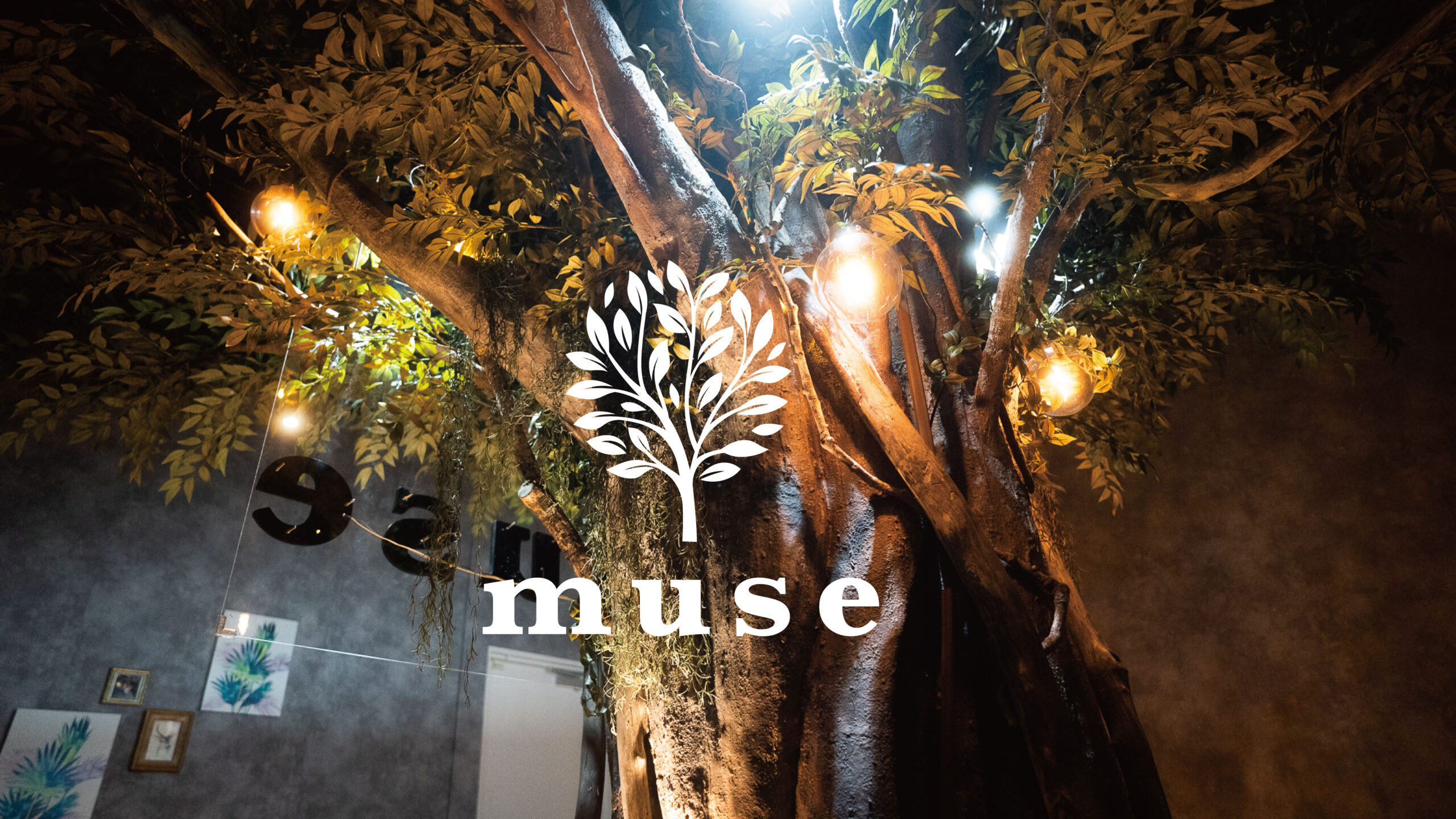 シーシャカフェ&バー muse/ミューズ 熊本店