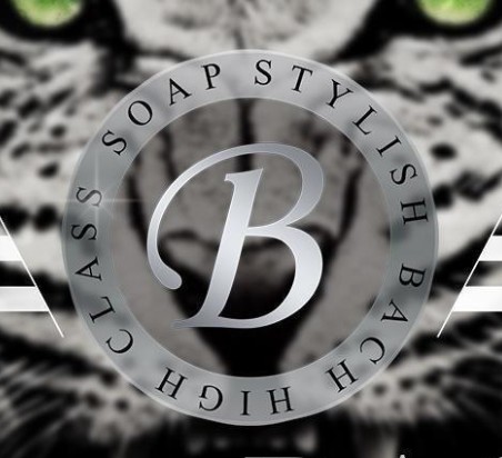 スタイリッシュバッハ