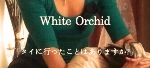 ホワイトオーキッド