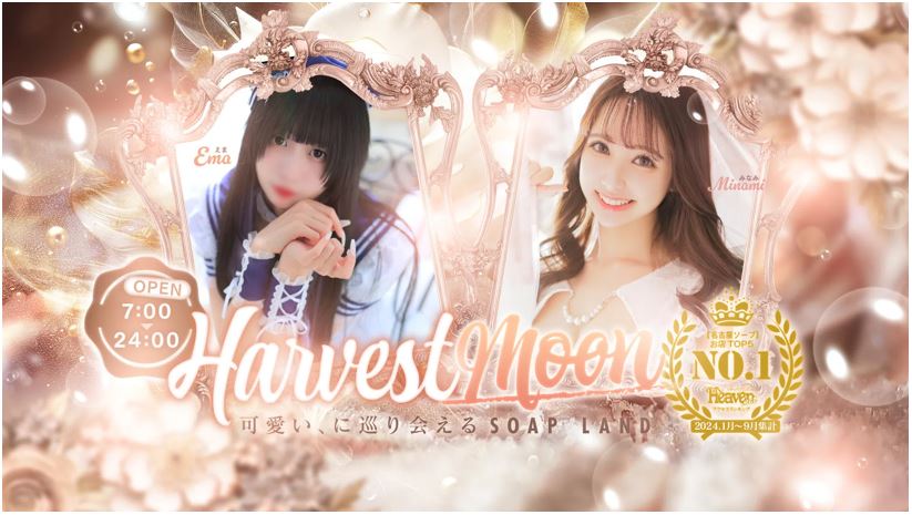 HARVESTMOON(ハーベストムーン)