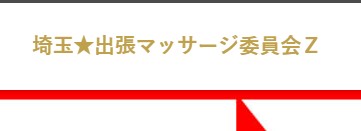 埼玉★出張マッサージ委員会Z