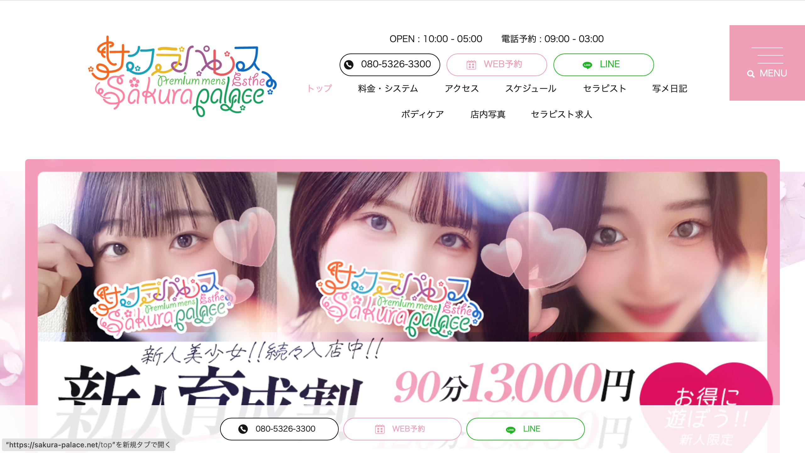 Sakura Palace(サクラパレス)