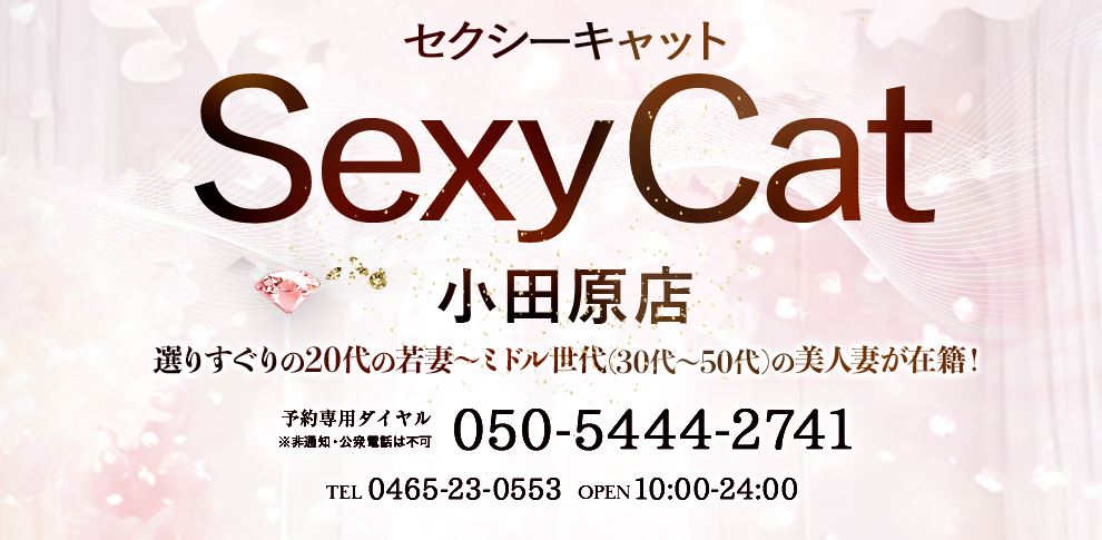 セクシーキャット