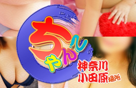 小田原箱根ちゃんこ