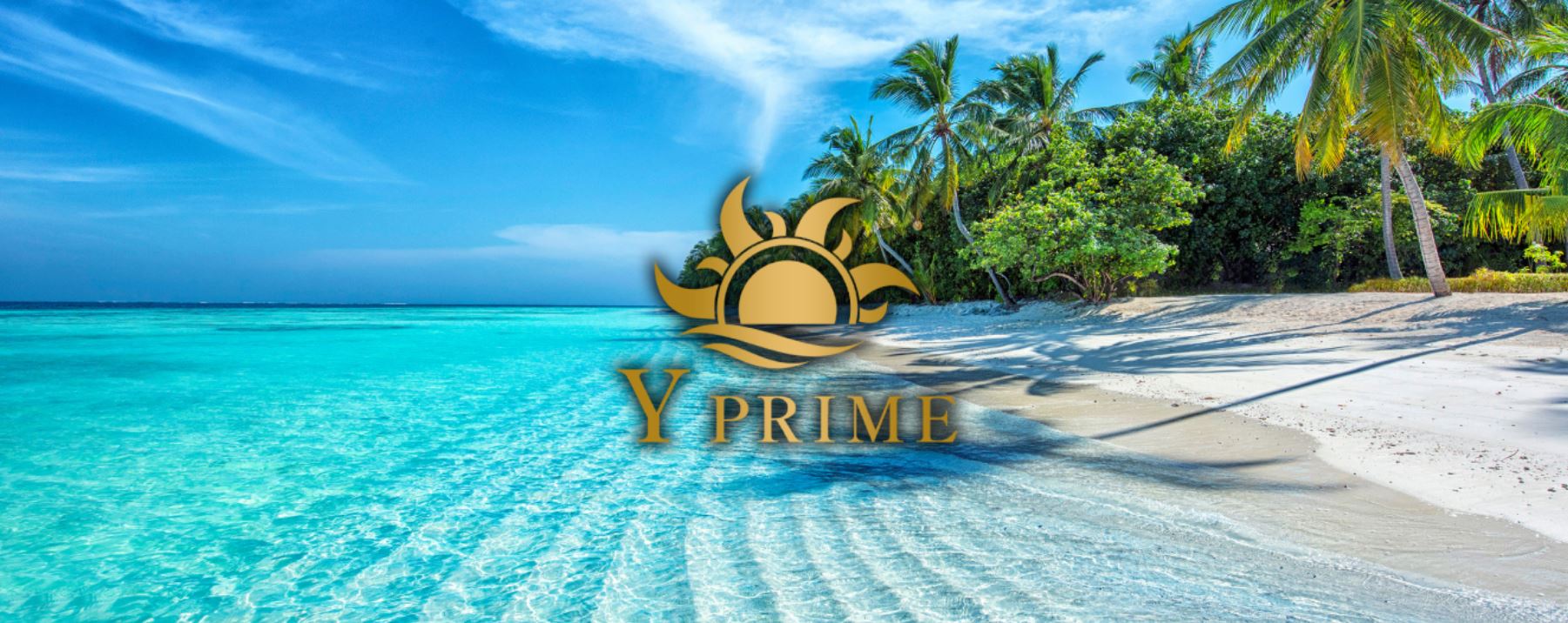 Y-PRIME(旧:Y-Plus)