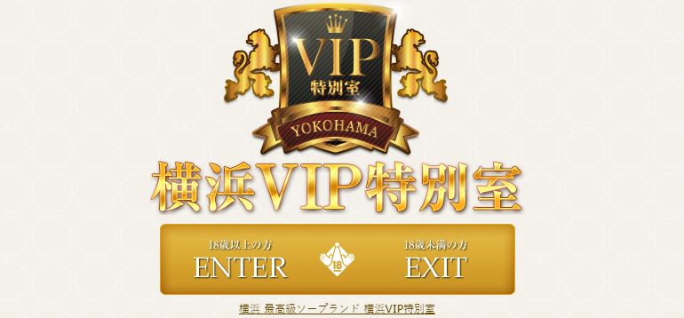 VIP(ビップ)特別室