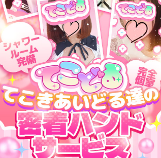 てこどる