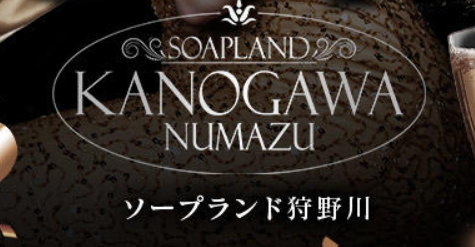 https://www.soapland-kanogawa.com/