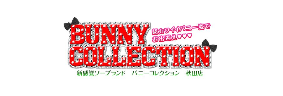 バニーコレクション