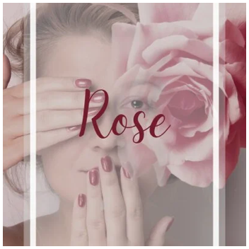  Rose