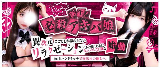 必殺アキバ娘 葛西ルーム