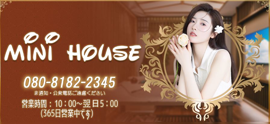 mini house