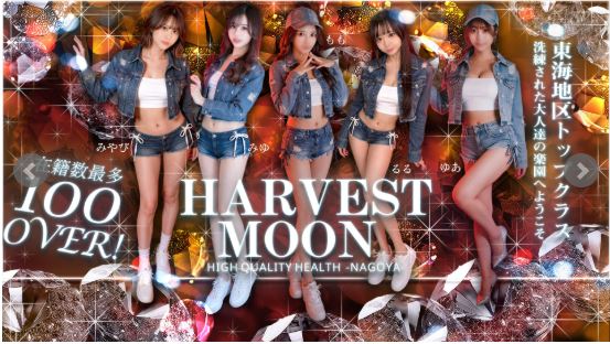 HARVESTMOON(ハーベストムーン)