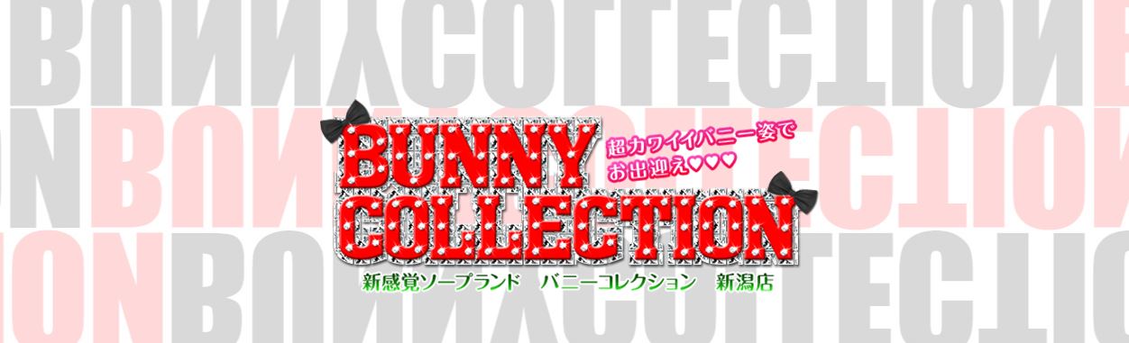 バニーコレクション新潟店