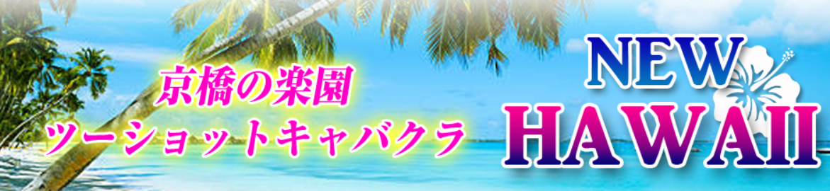 https://pafu2navi.com/shop/newhawaii