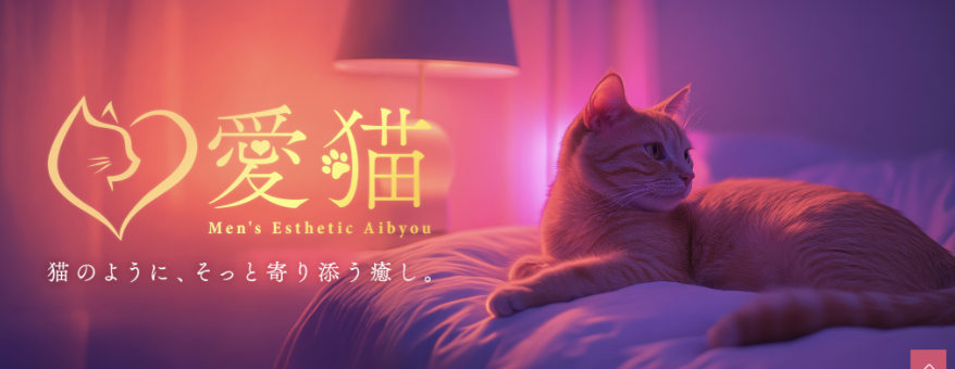 愛猫のトップ画像