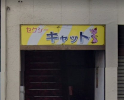 セクシーキャット