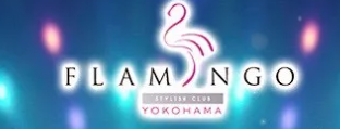 https://www.cabaseku.jp/kanto/yokohama/shop/211/