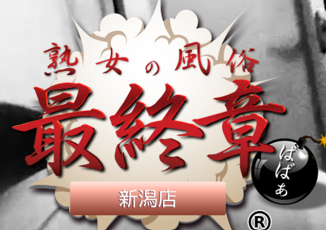 https://saisyuusyou-niigata.com/