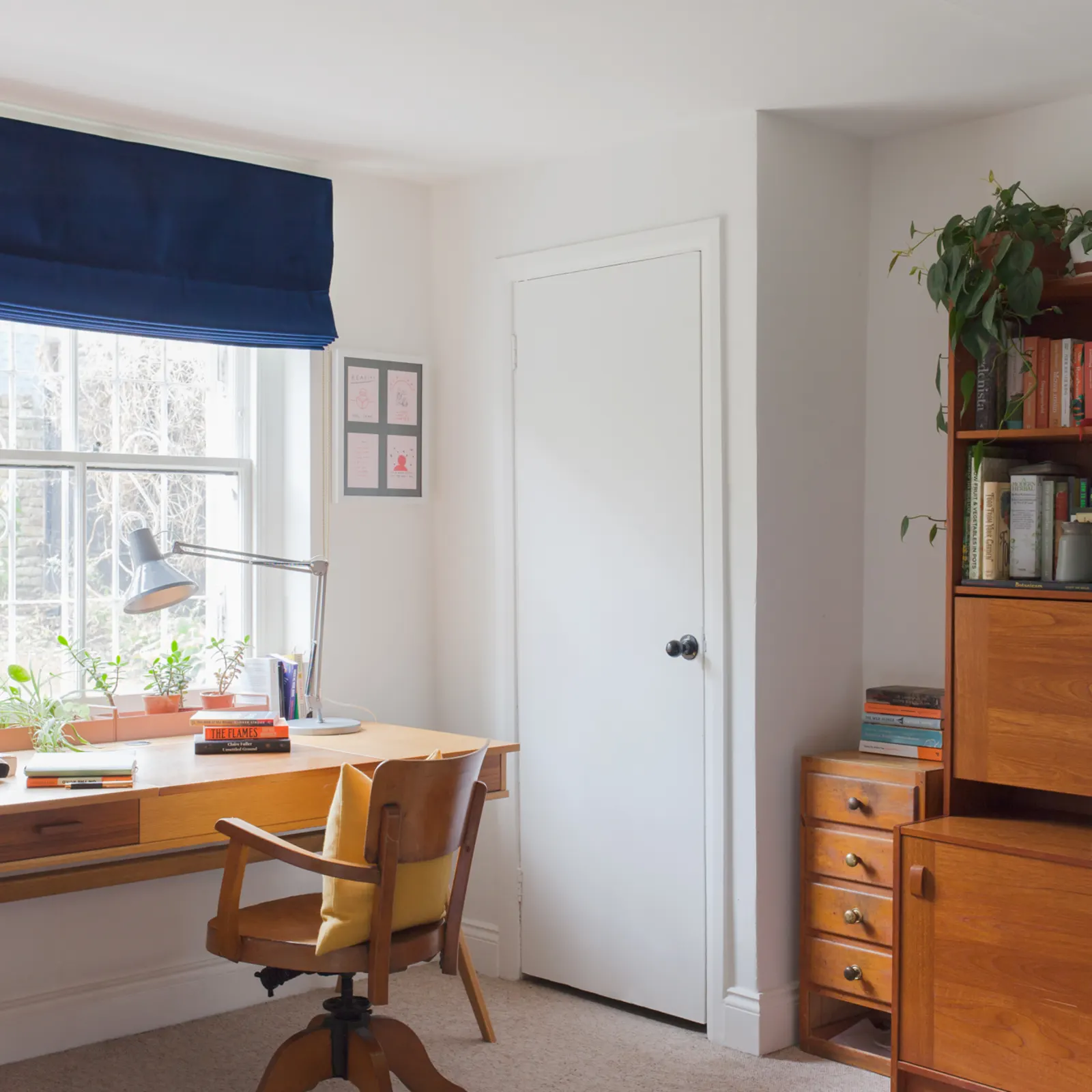 dark blue velvet roman blinds