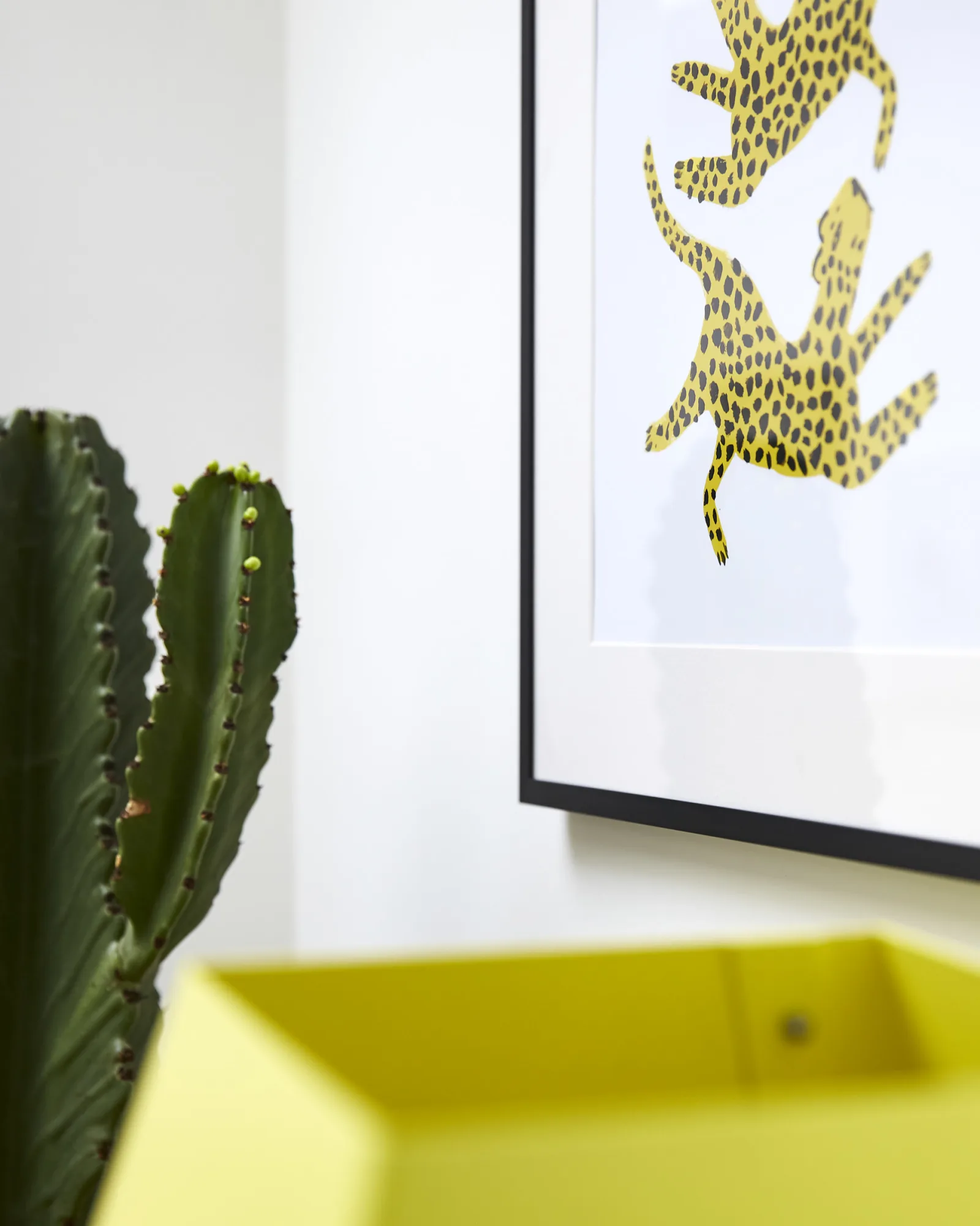 close up of leopard wall artwork and cactus