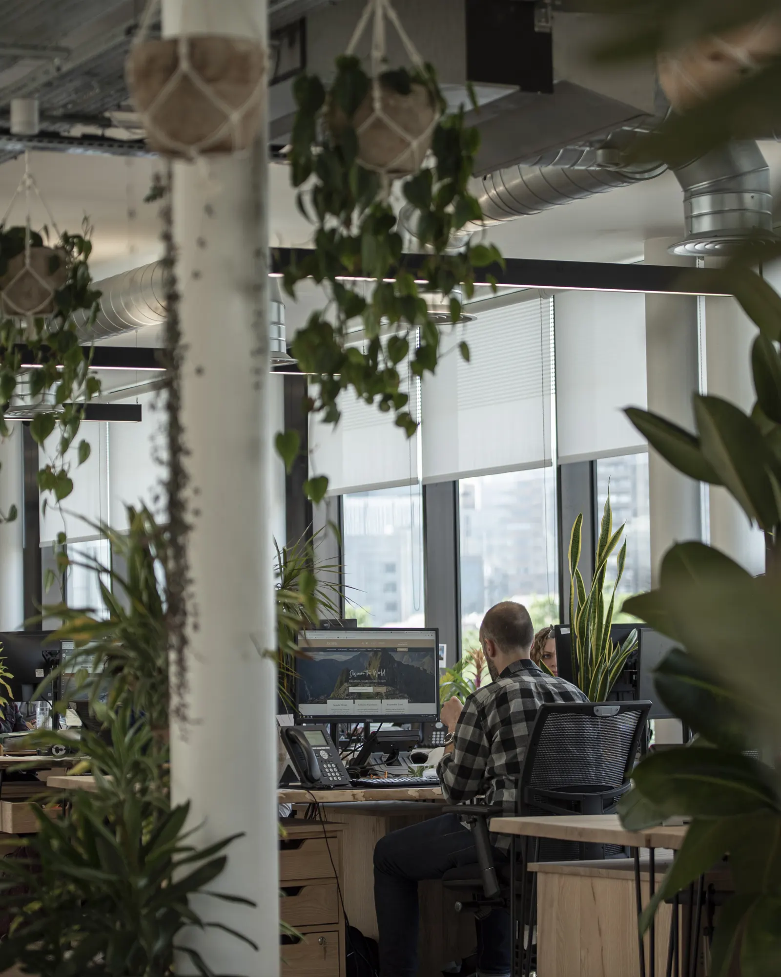 recycled roller blinds