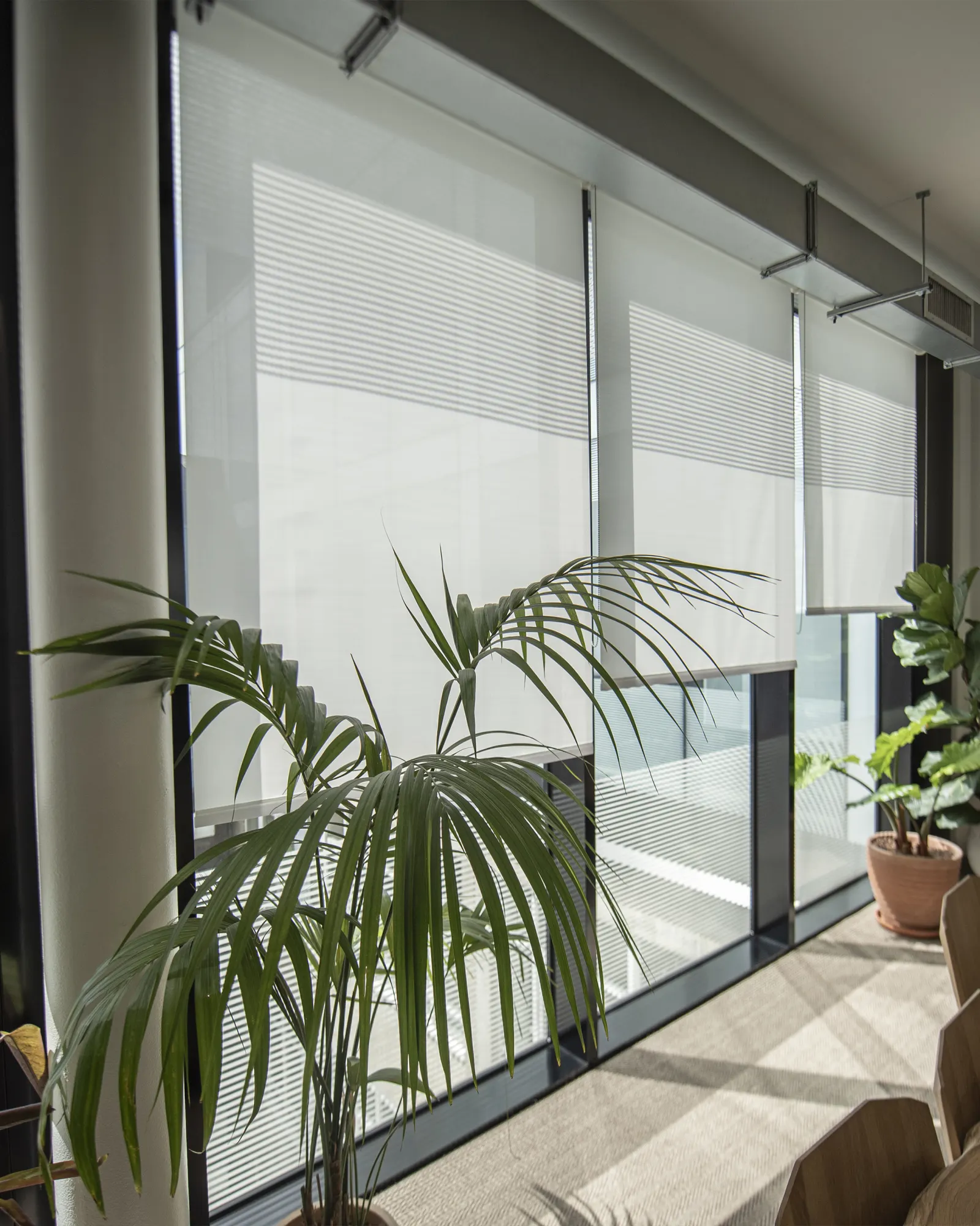 recycled roller blinds